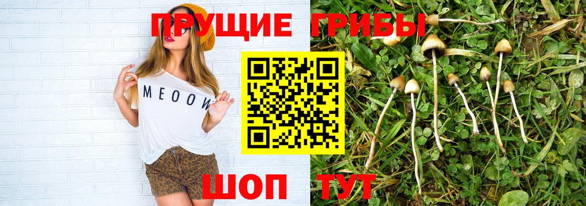 Новоалександровск  Галлюциногенные грибы мицелий  Вход с VPN 